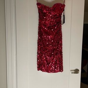 NWT. Hot Pink sequin Dolce & Gabbana dress. Size 42. US size 6